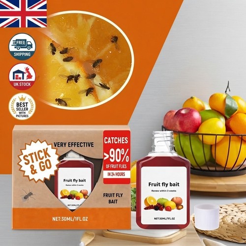 Fruit fly trap pack kitchen - trap,