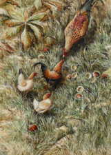 Ken Turner - Original Oil Painting - Cockerels, Hens & Horse Chestnuts