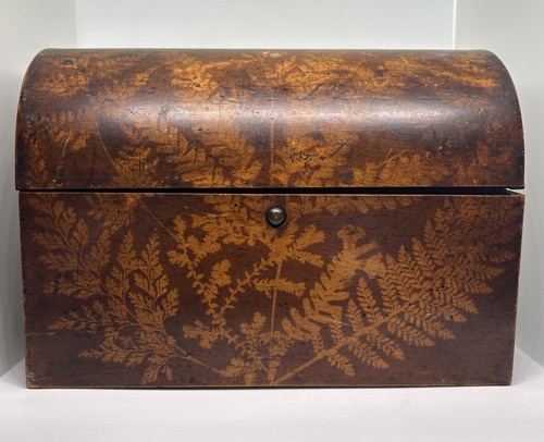 Antique 1880 victorian fern - victorian,