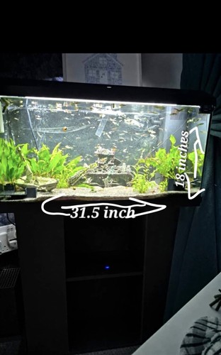 Rectangular glass fish tank - glass,