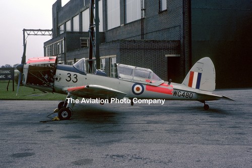 Raf fts dhc chipmunk t - fts,