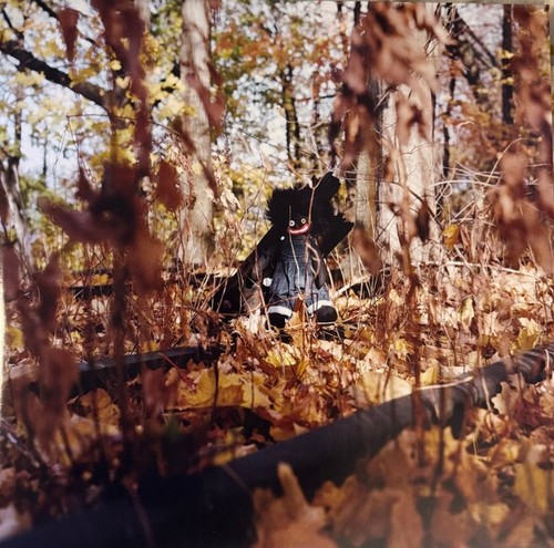 Billy woods golliwog 2 - woods,