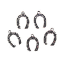 30 Lucky Horseshoe Charms