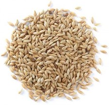 SkyGold Finest Plain Canary Seed 20Kg Cage and Aviary Food