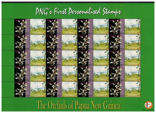 Papua orchids fly islands - orchids,