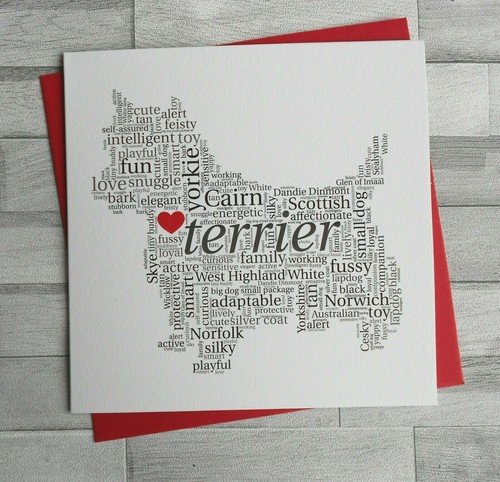Terrier yorkshire skye norwich - yorkshire,