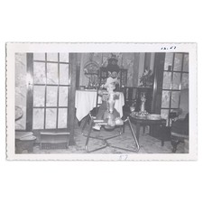 Cowboy Kid Riding Spring