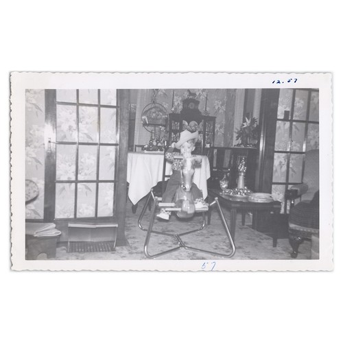 Cowboy kid riding spring - kid,