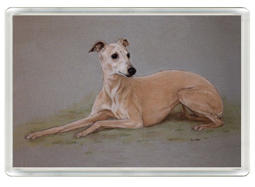 Whippet dog fridge magnet - whippet,