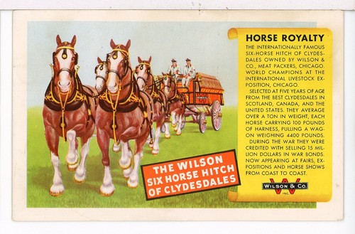 Wilson 6 horse - wilson, 6-horse