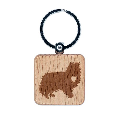 Shetland sheepdog sheltie - sheepdog, dog