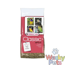 Canary seed versele - versele, laga