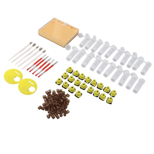 Queen bee rearing system - bee,