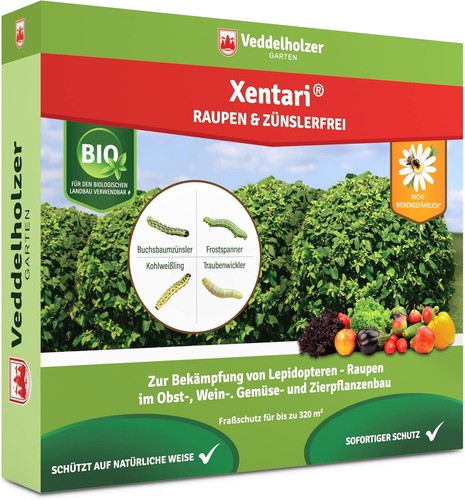 Box hedge caterpillar organic - hedge,