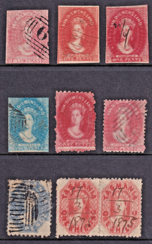 Tasmania scarce chalon - tasmania,