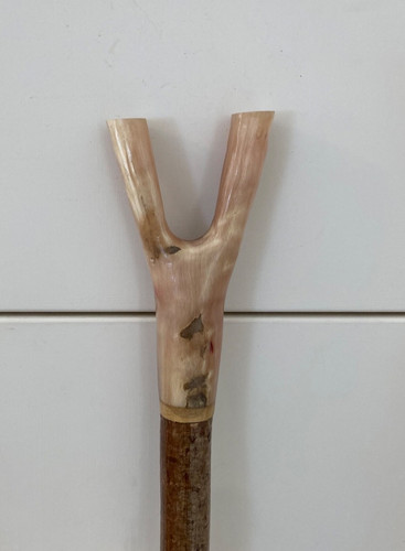 Rams horn thumb stick - rams,