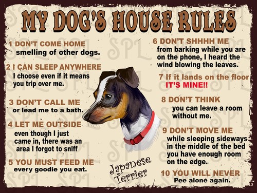 Dog house rules japanese - my,