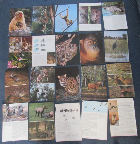 Junk journal scrapbooking - junk,