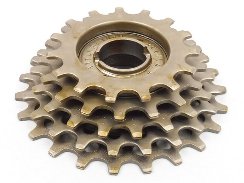 Regina corsa speed - 5,