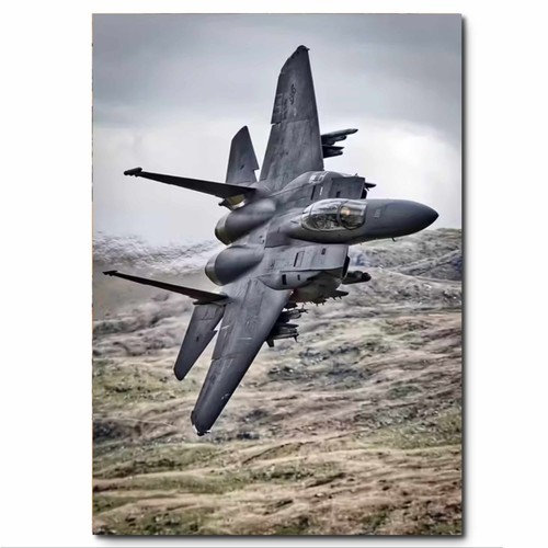 Strike eagle american - eagle,