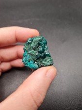 Dioptase Specimen - Congo -