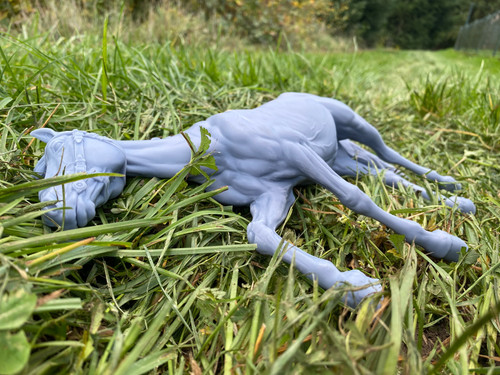 Reclining model horse resin - , 3d