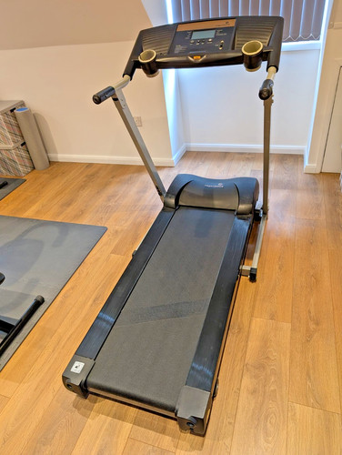 Roger black gold - black, –