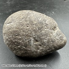 Ichthyosaur Coprolite Fossil