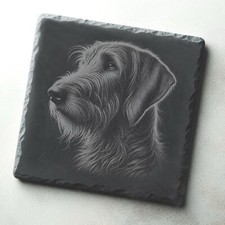 Scottish Deerhound Dog
