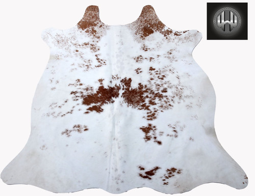 Real picture large cow - large,