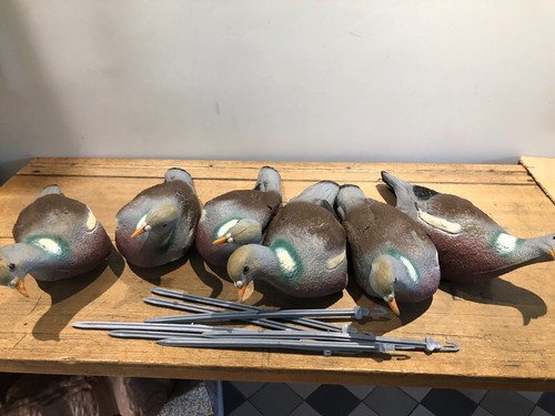 Rubber pigeon decoys full - 6,