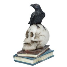 Black Crow Standing on a Skull