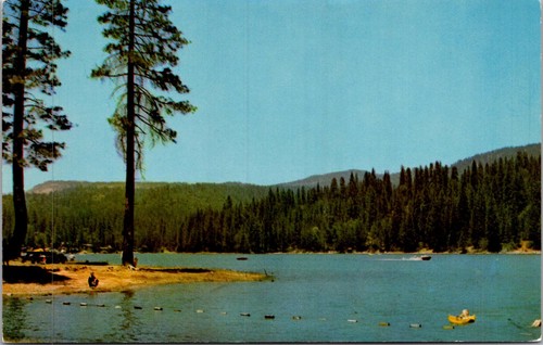 View swimming boating on - of,