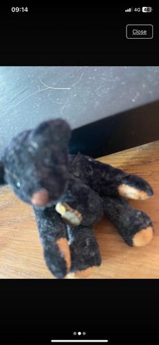 Herman teddy bear black - teddy,