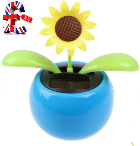 Blue solar dancing sun flower - solar,