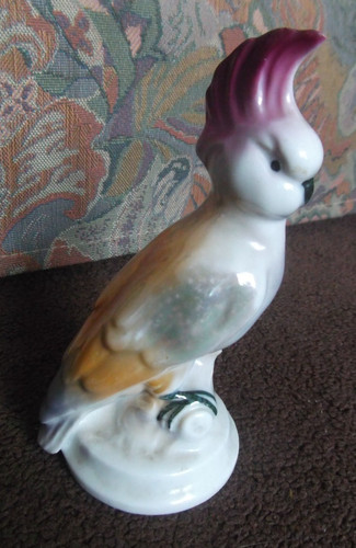 Scarce lustre cockatoo - lustre, foreign