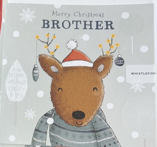 Brother christmas card - brother,