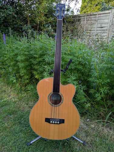 Acoustic bass guitar - acoustic,