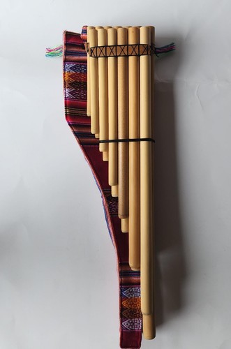 Peru professional basto - professional,