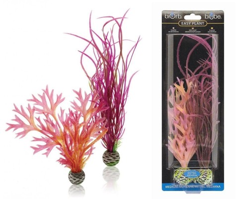 Fish tank plants oase biorb - plants,