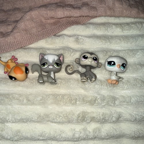 Littlest pet shop - pet,