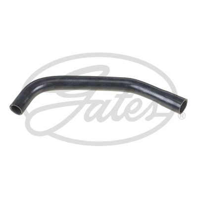 Radiator hose for - radiator, 240