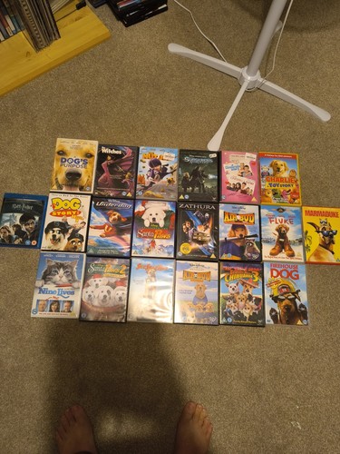 Kids dvd bundle - kids, family