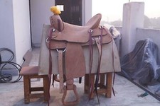 Western Saddle Horse Ranch