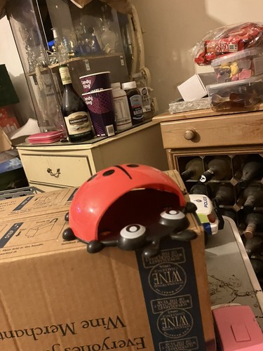 Ladybird toy - ladybird,