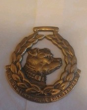 John Ellis Staffordshire Bull