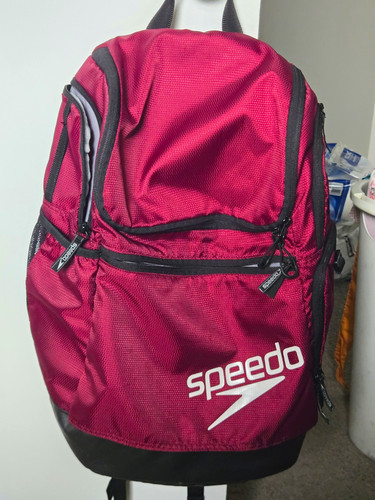 Speedo teamster swim backpack - teamster,
