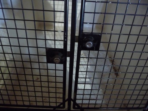 Lintran db5 dog box fits - lintran,