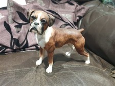 Leonardo Collection Dog Studio