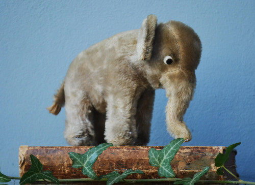 Vintage toy mohair - mohair, steiff